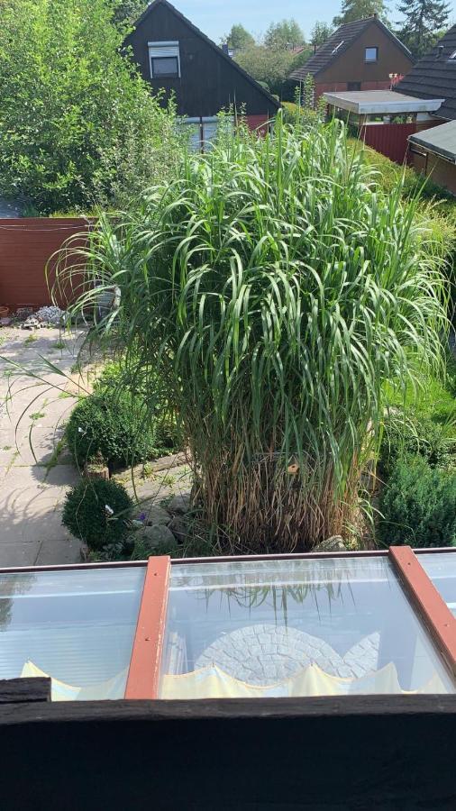 Nordseevilla Jade Schweiburg Exteriör bild